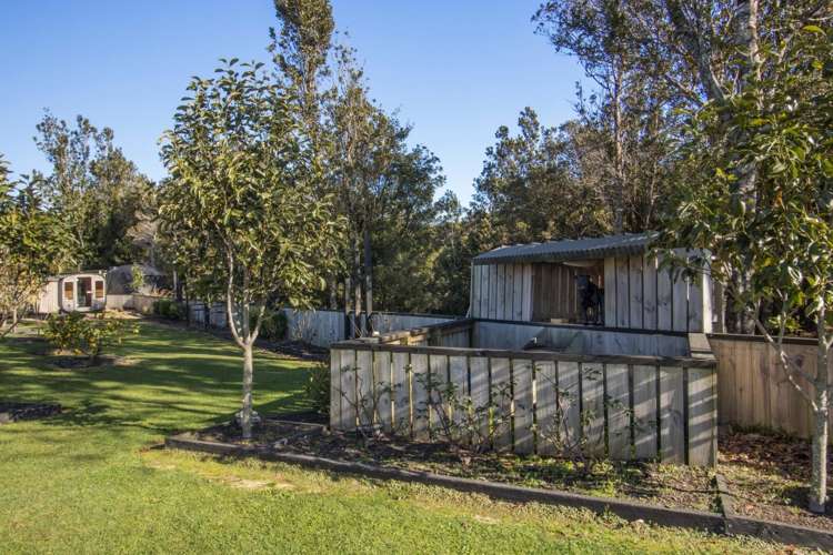 994 Work Road Whakamarama_17