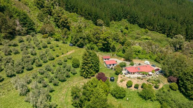 2731 Motueka Valley Highway Woodstock_3