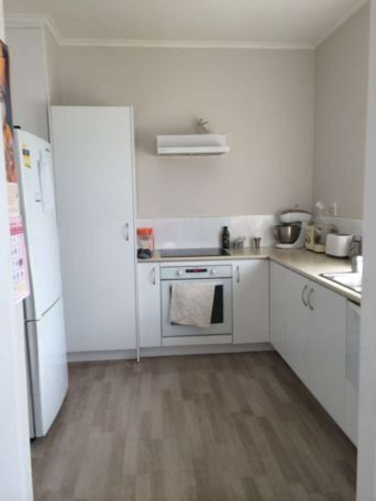 15 Hendry Avenue Hillsborough_11