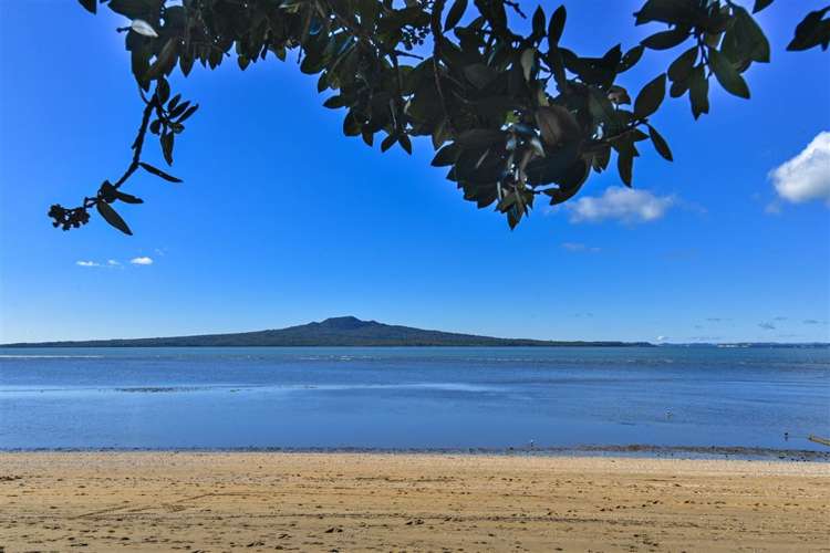 13 Cheltenham Road Devonport_16