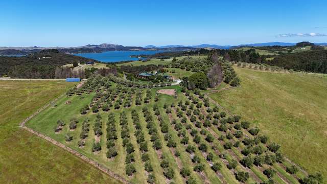 Olives and A View! So Much On Offer!