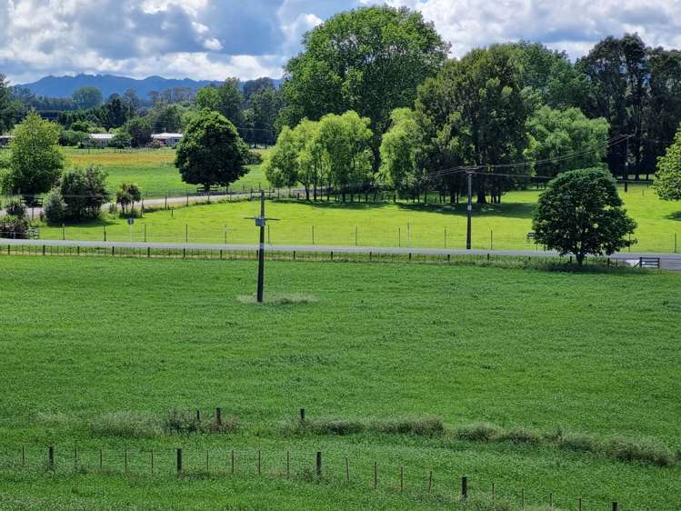 2/2 Hogg Road Onepu_8