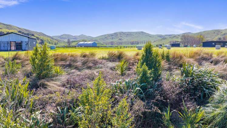 50 Punawaitai Road Pourerere Beach_7