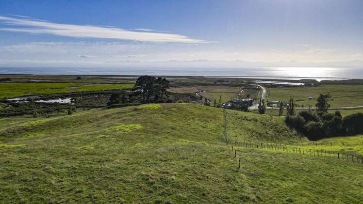 905 Miranda Road Miranda_4