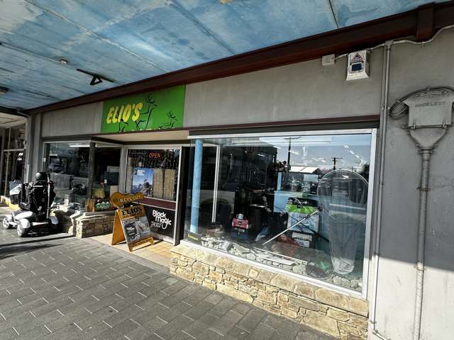 219 King Edward Street South Dunedin_1