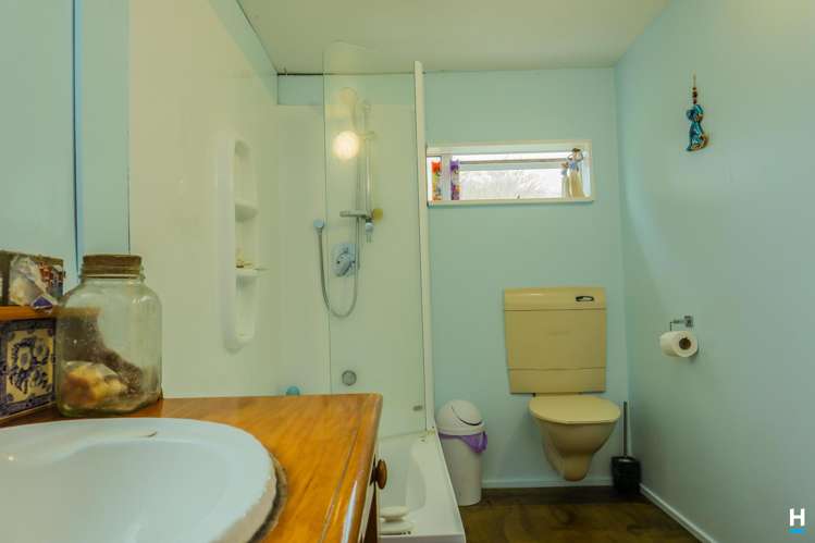 854 Nelson Creek Road Hochstetter_12