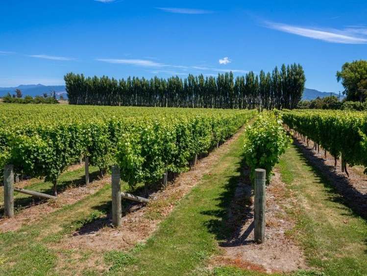 100 Watsons Road Grovetown_1