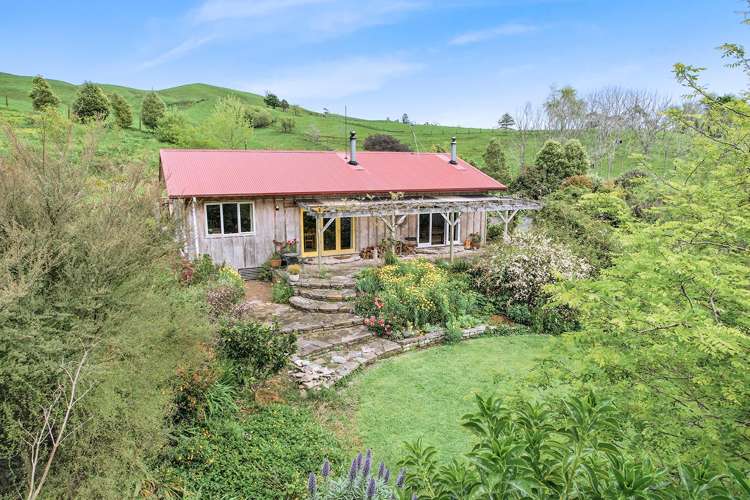 702 Tahuroa Road Morrinsville_2