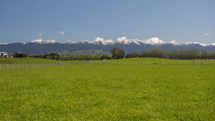 Lot 1, Lot 2 Cornwall Road East Taratahi_1