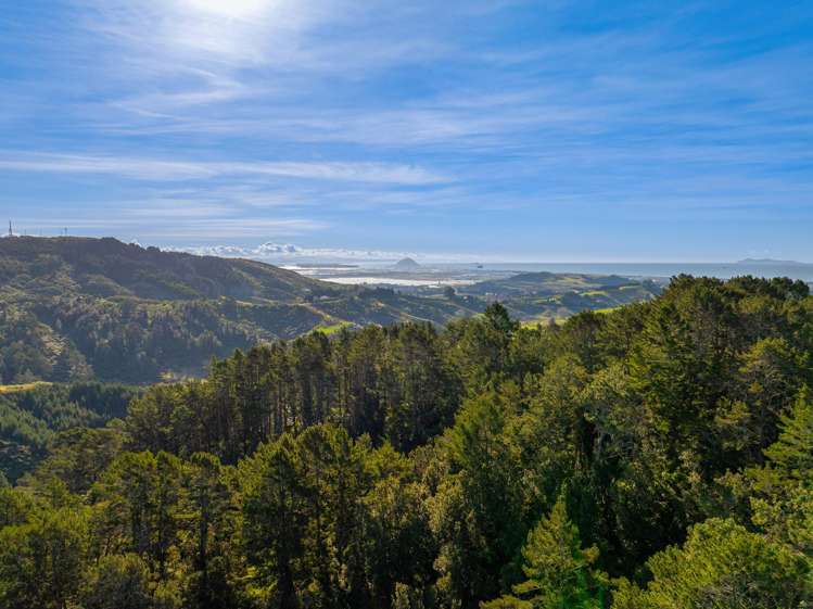 225 Rocky Cutting Road Papamoa_17