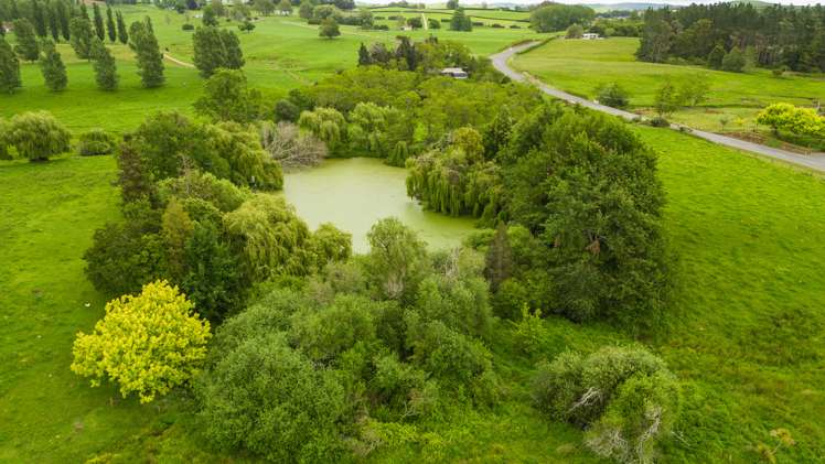 1768 Morrinsville Walton Road_3