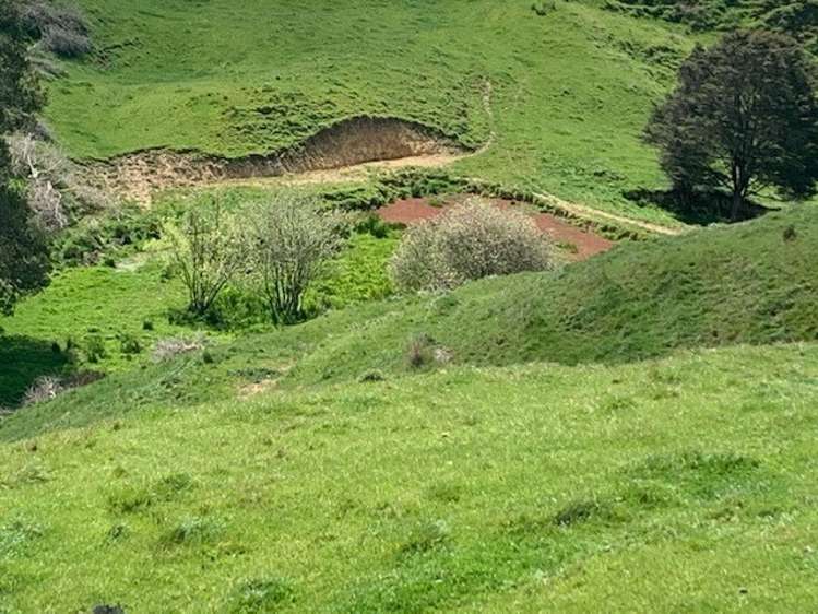 462 Otuiti Road Pukekawa_9