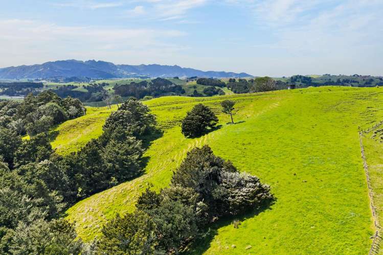 1334 Pukehuia Road Tangiteroria_23