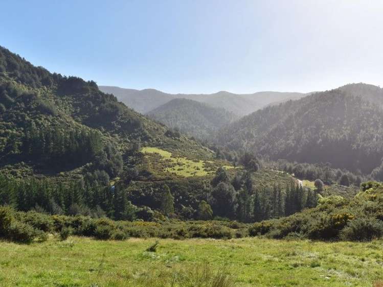 446 Glentui Bush Road Glentui_23