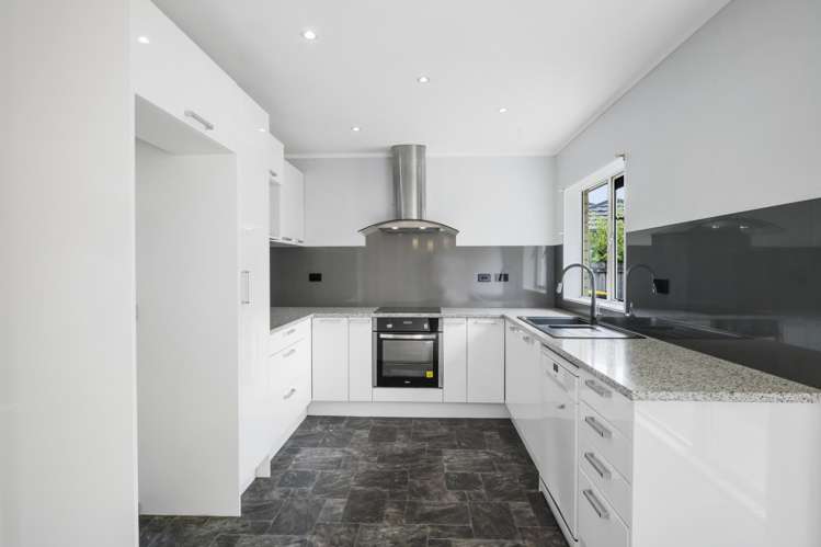 1 Skelton Avenue Randwick Park_4