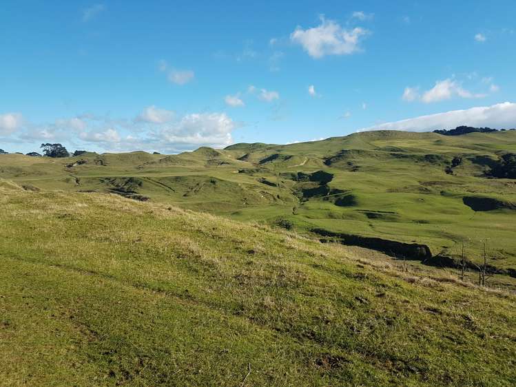 76064 State Highway 2 Rangitikei Surrounds_20