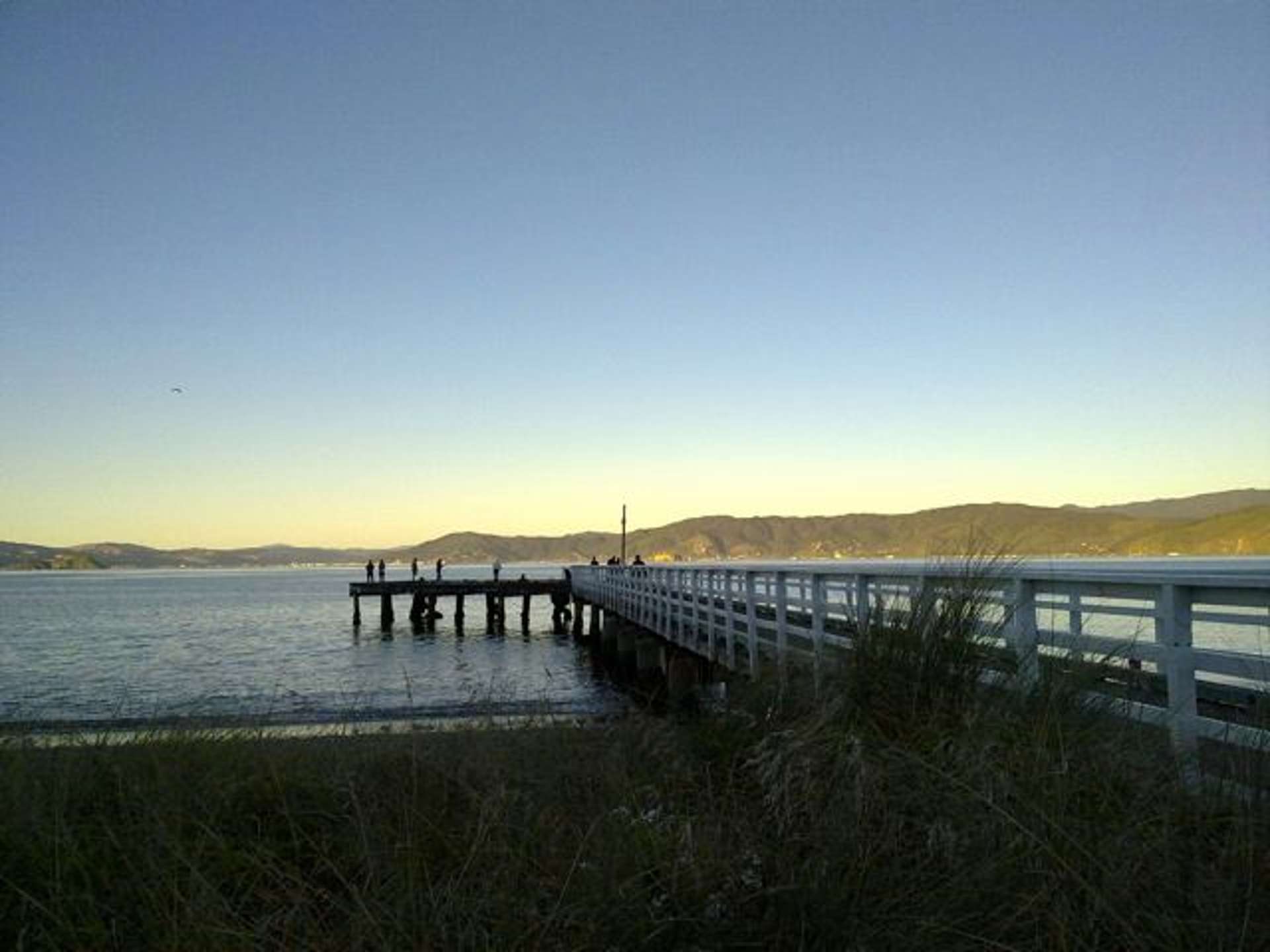 12B Pinelands Avenue Seatoun Wellington City Houses for Rent