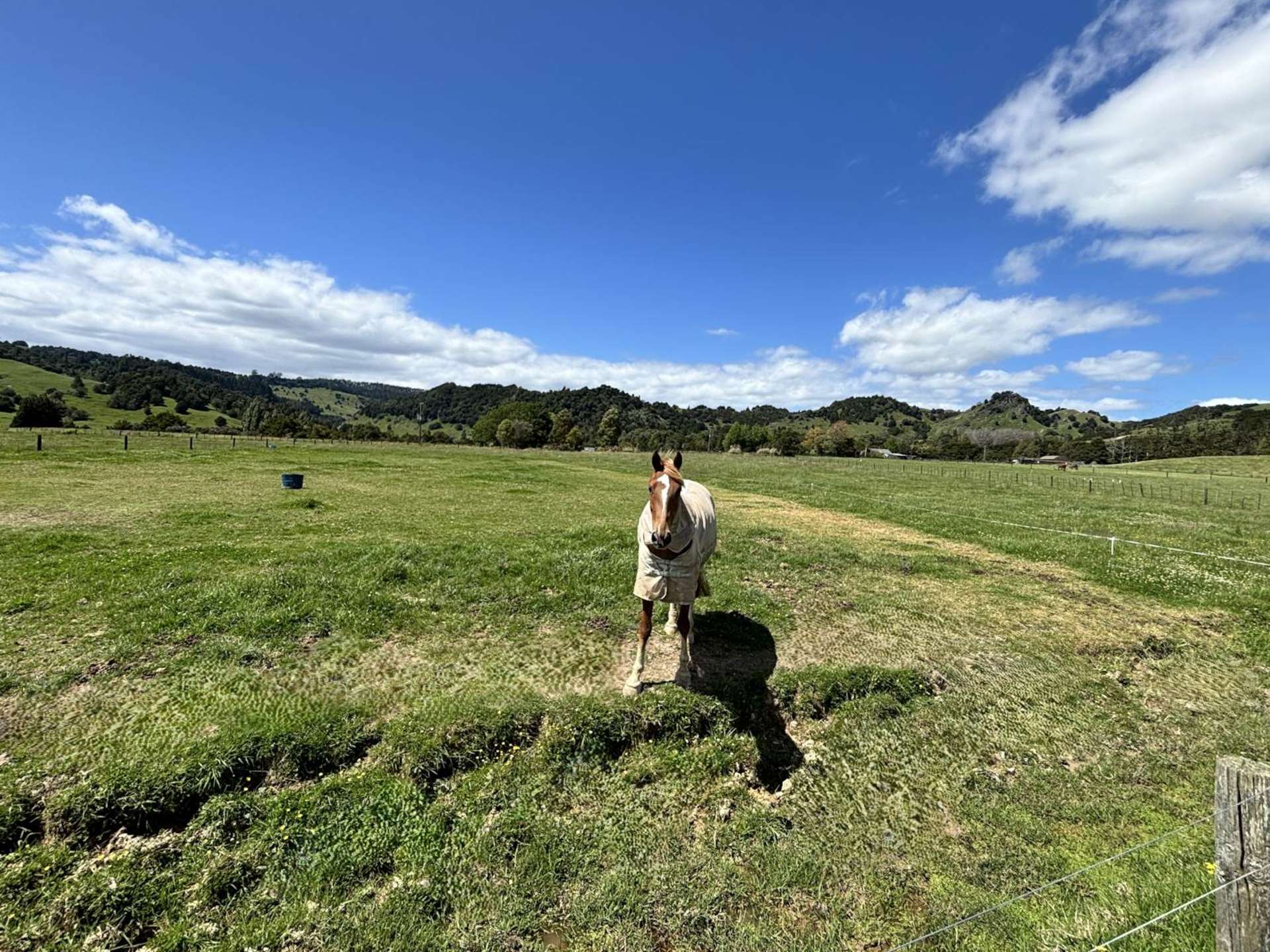 Lot 2, 74 Pukepoto Road Okaihau_0