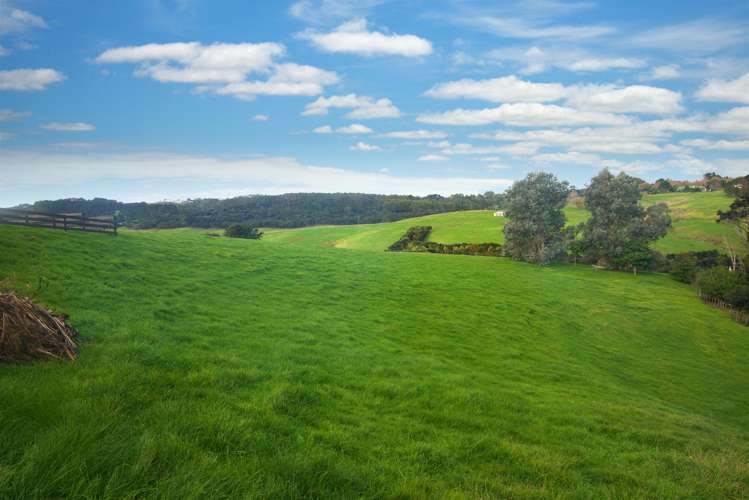 228 Oyster Point Road Kaukapakapa_24