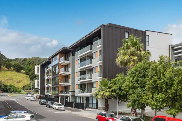 323/43 Edwin Street Mount Eden_3