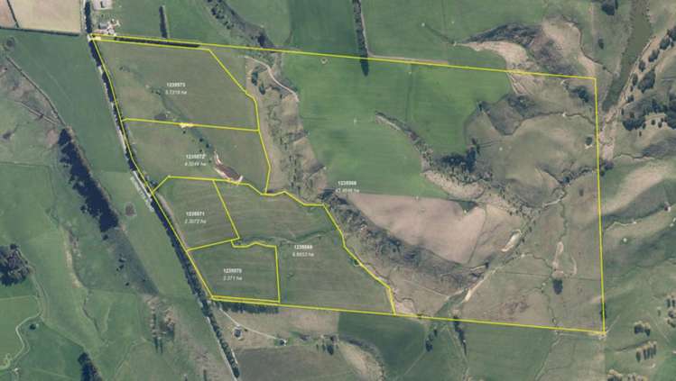 Burnetts Road Masterton_19