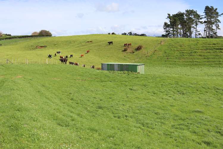 Lt2/310 Henwood Road Bell Block_21