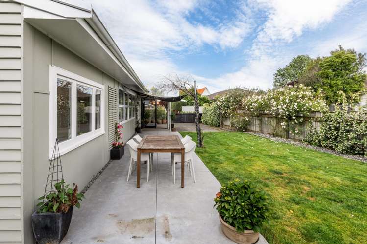 8D Goddard Lane Havelock North_11