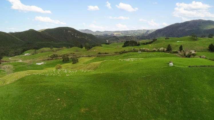 Coates Road Waikite Valley_11