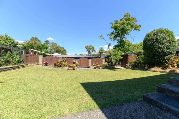 43 Tiverton Road Avondale_8