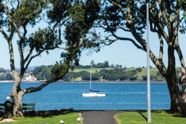 62 Calliope Road Stanley Point_19