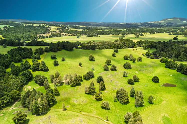 509B Mataraua Road Kaikohe_39