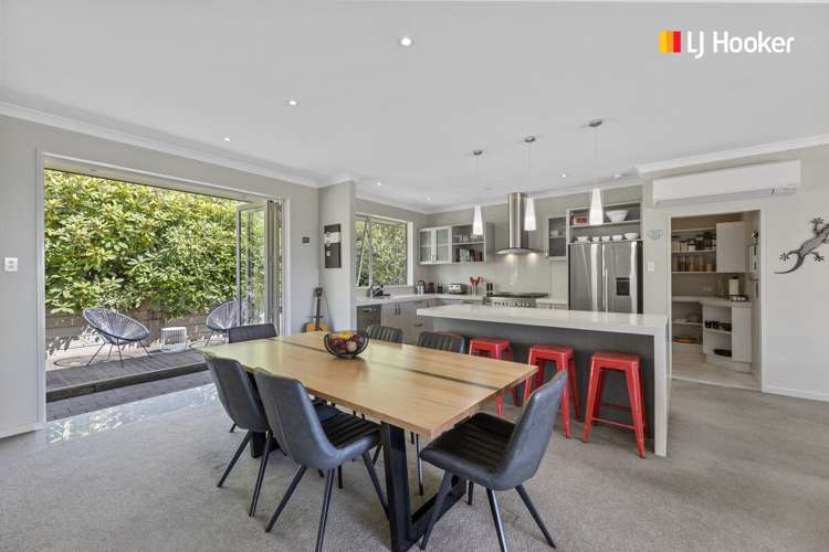 815 Mount Cargill Road Mount Cargill_7