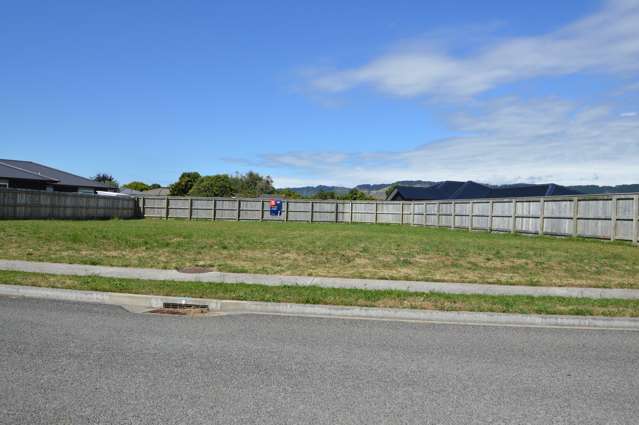 46 Tainui Street Levin_1