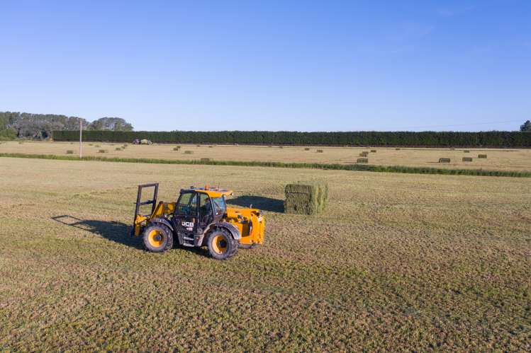 Wilkins Road Tinwald_11