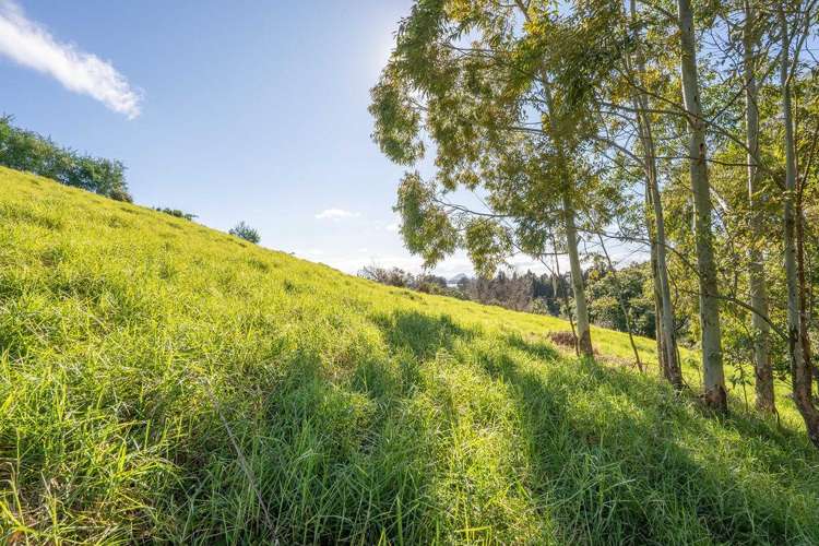 99 Carmen Way Ohauiti_17
