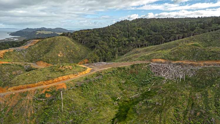 982B Manaia Road Coromandel_23