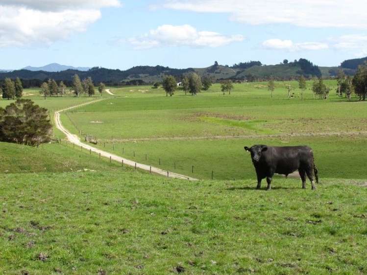 201 Rangiahua Road Horeke_15