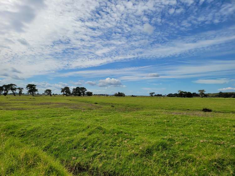 1919 Pouto Road Te Kopuru_16