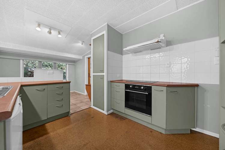 590 Mount Albert Royal Oak_5