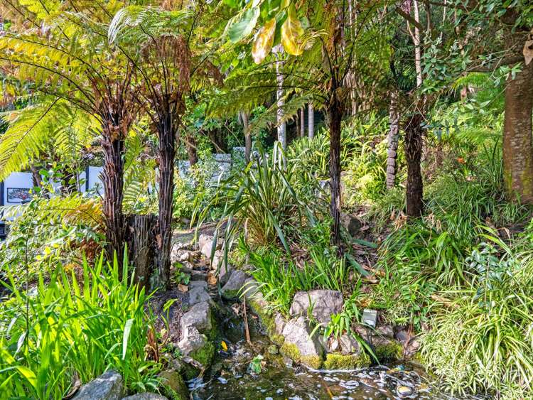 13 Muriwai Drive Whakatane_15