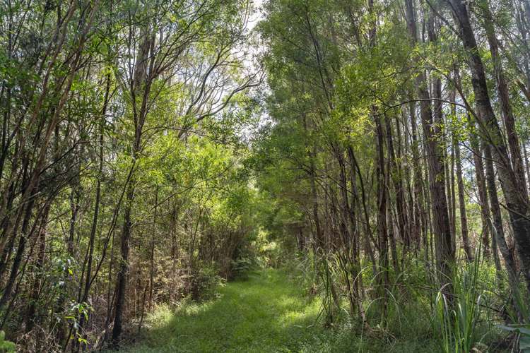 15 Waiparera Road Parua Bay_16