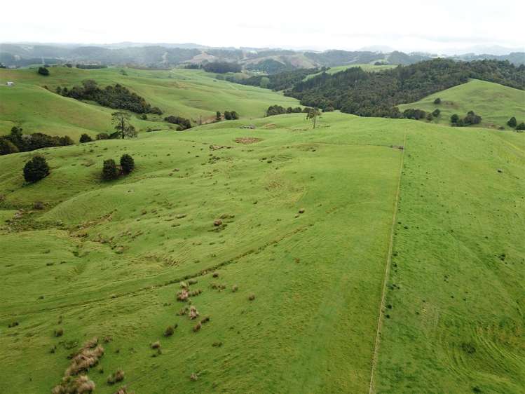 State Highway One Taupo_14