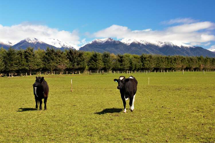 Lot 4/1725B Manapouri Te Anau Highway Manapouri_13