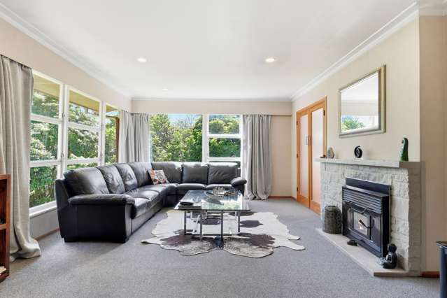 386 Ulster Street Beerescourt_1