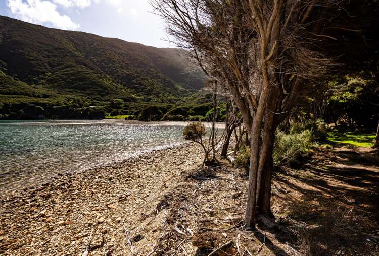 Lot 4 + 5 Te Aroha Bay, Otanerau Bay Marlborough Sounds_39