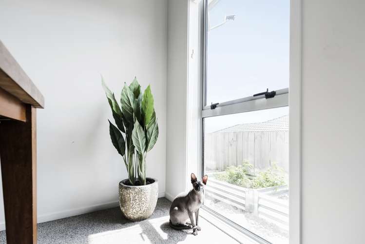 28 Excelsa Place Papamoa_9