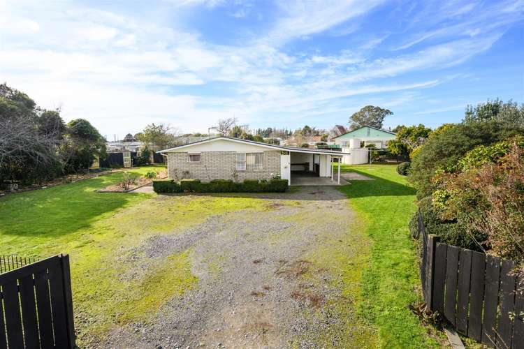 6 Flower Street Bulls_4