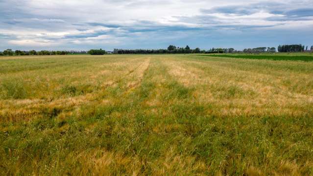 Bradshaws Road Waimate_4