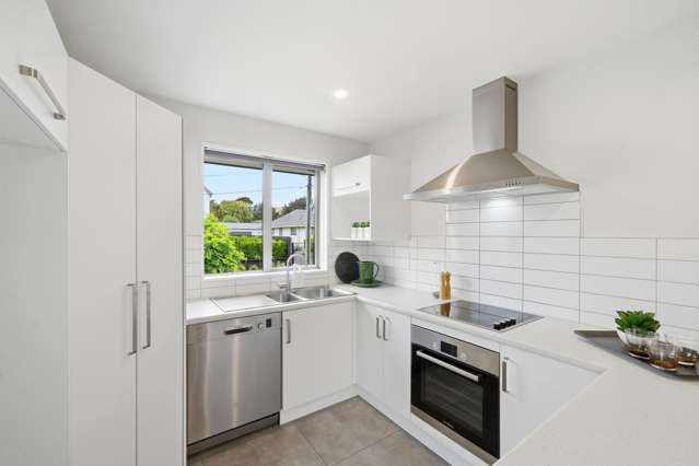 2B Gilbert Place Sydenham_4