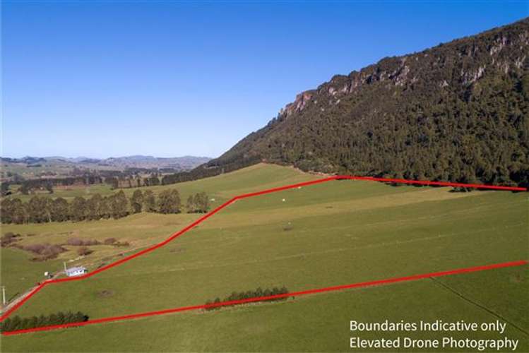 Apirana Road Horohoro_6